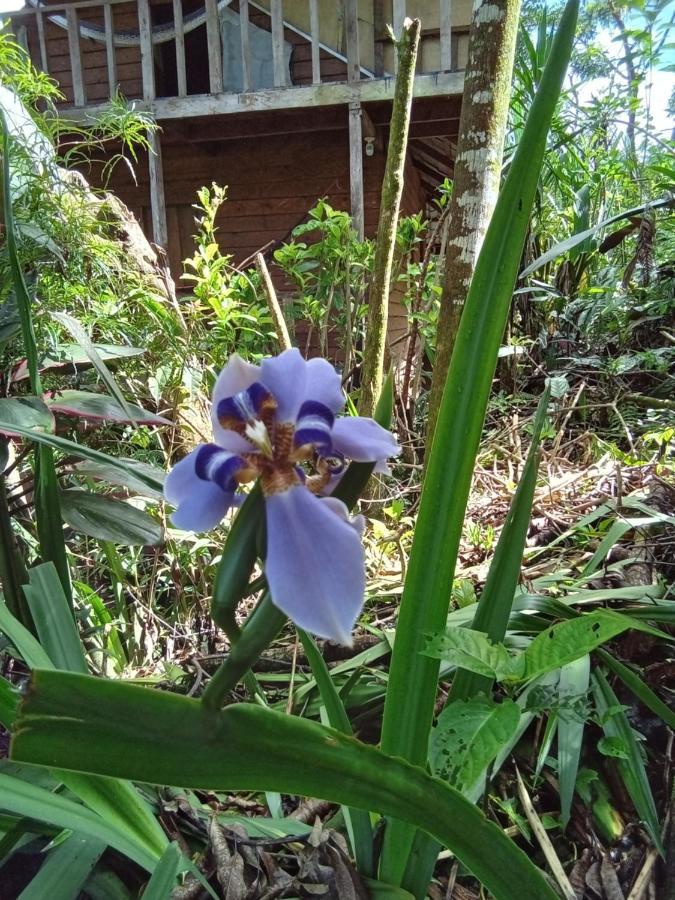 Hostal Azul Del Lago Agua Azul Exteriör bild