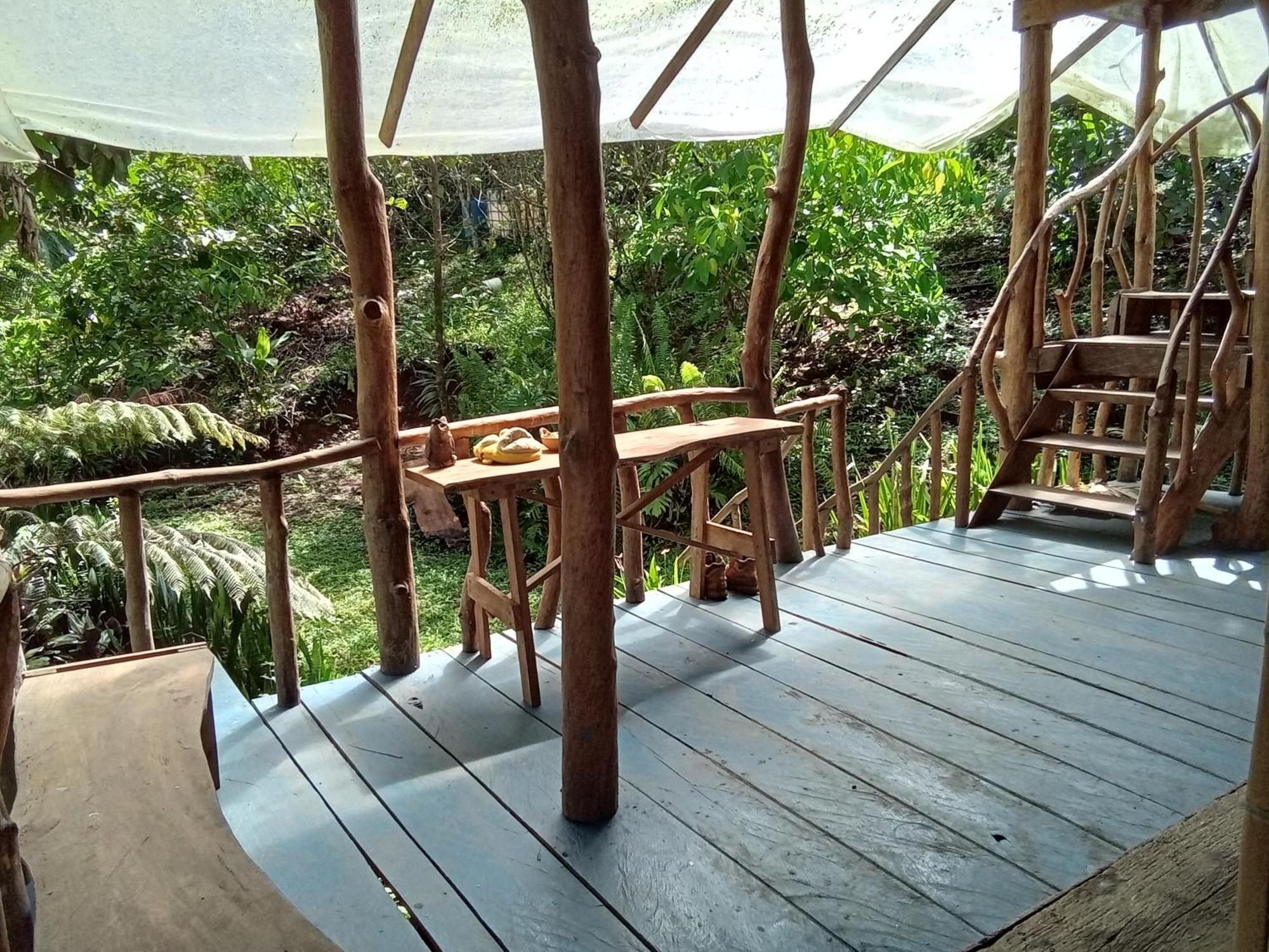 Hostal Azul Del Lago Agua Azul Rum bild